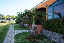Palm trees next to residence at Palm Court Gardens in Basseterre St Kitts.jpg