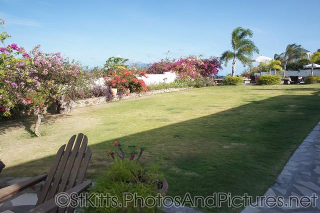Grass lawn at Palm Court Gardens in Basseterre St Kitts.jpg
