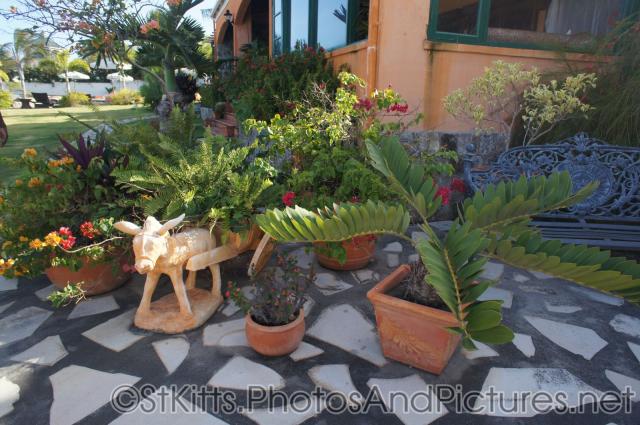 Donkey statue and potted tropical plants at Palm Court Gardens in Basseterre St Kitts.jpg
