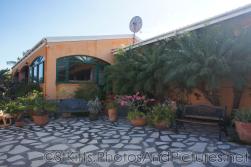 Plants and benches at Palm Court Gardens in Basseterre St Kitts.jpg