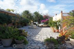 Beautiful tropical plants and Rolls Royce of Palm Court Gardens in Basseterre St Kitts.jpg