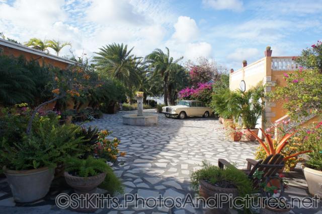 Beautiful tropical plants and Rolls Royce of Palm Court Gardens in Basseterre St Kitts.jpg
