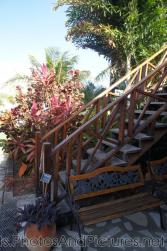 Stairs going up at Palm Court Gardens in Basseterre St Kitts.jpg
