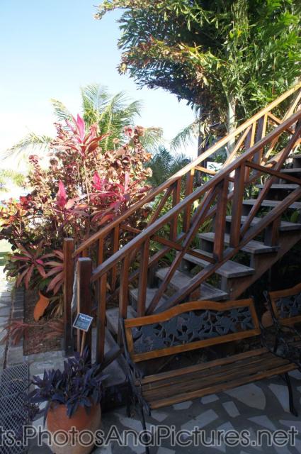 Stairs going up at Palm Court Gardens in Basseterre St Kitts.jpg