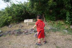 Darwin looking at monkeys at Shipwreck Bar & Grill in St Kitts.jpg