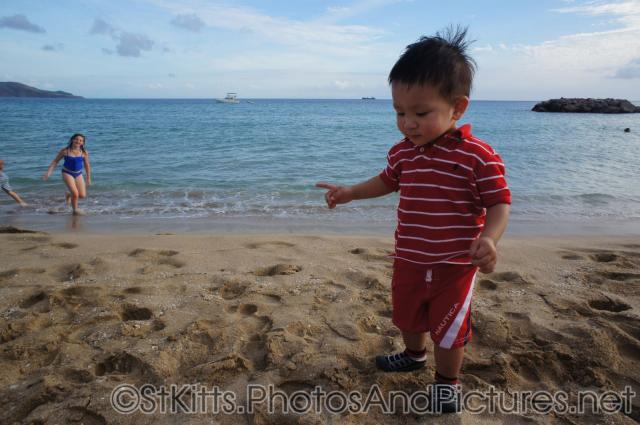 Darwin stands at the beach behind Carambola Restaurant in St Kitts.jpg

