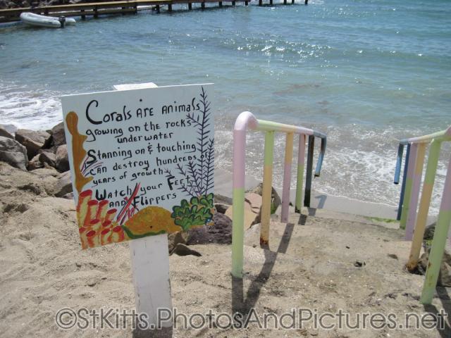 Corals warning sign at Monkey Bar Beach in St Kitts.jpg

