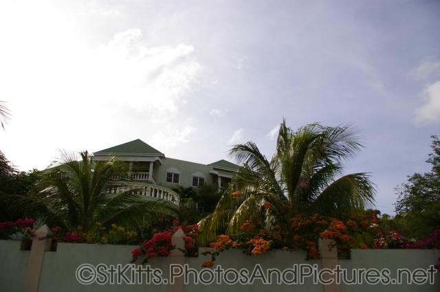 Large home with flowers pouring over walls in St Kitts.jpg
