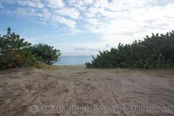 Good snorkeling spot in St Kitts.jpg