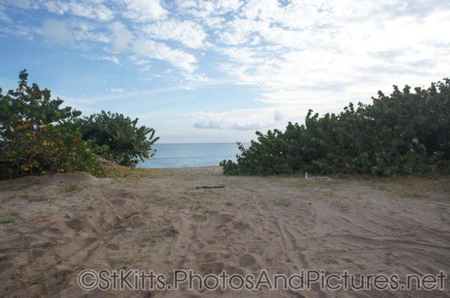Good snorkeling spot in St Kitts.jpg