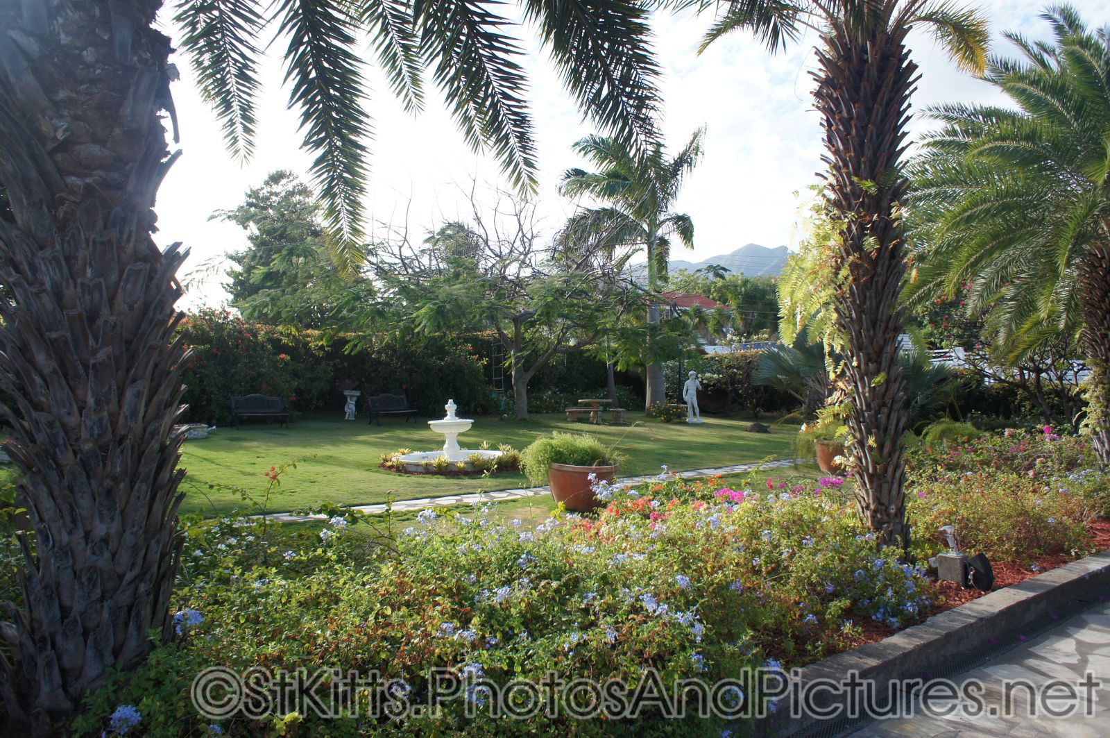 White fountain at Palm Court Gardens in Fortlands St Kitts.jpg
