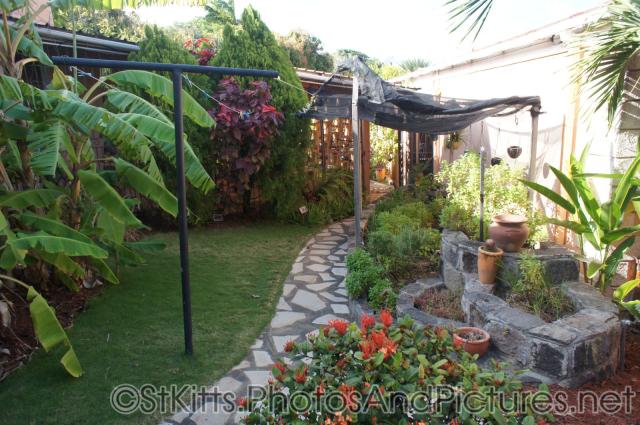 Walkway and tropical plants at Palm Court Gardens in Basseterre St Kitts.jpg
