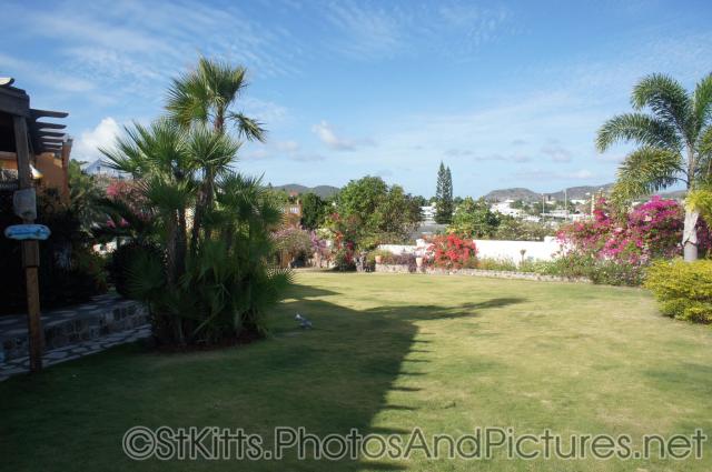 Green lawn and plants at Palm Court Gardens in Basseterre St Kitts.jpg